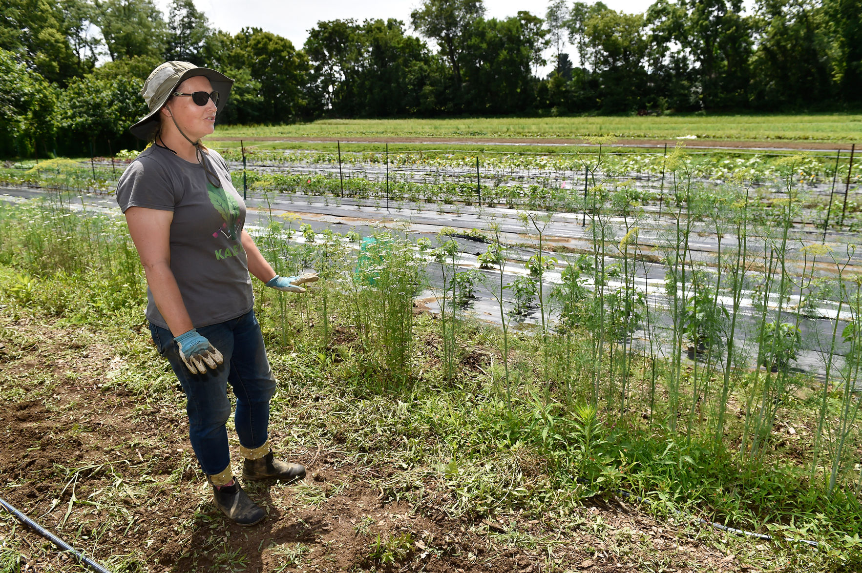 Homefields Farms 9.jpg